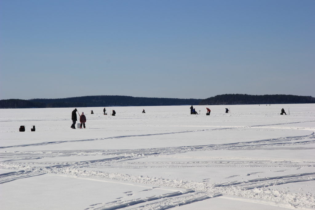 Esitellä 46+ imagen biisonipilkki tulokset